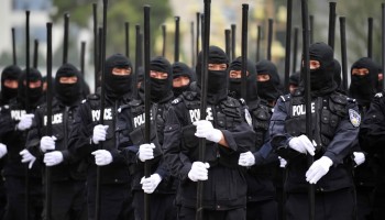 police-ninjas