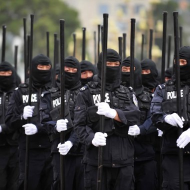 police-ninjas